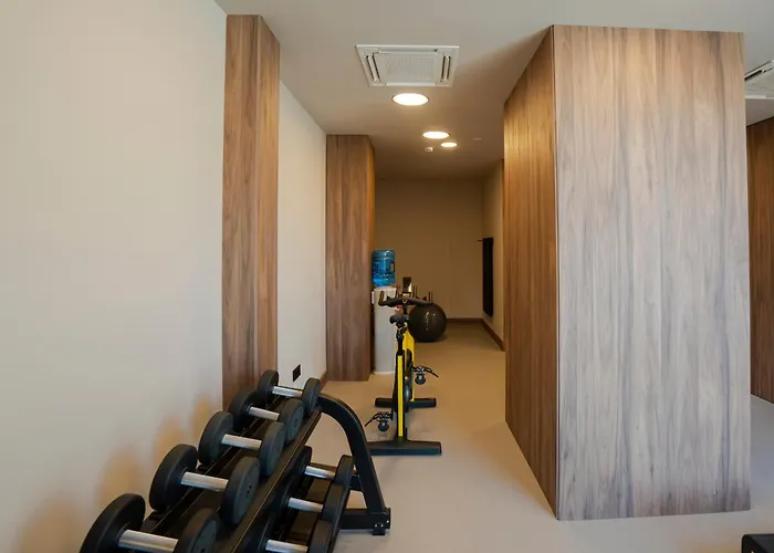Hotel Zenit Borrell
