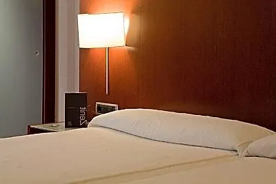 Hotel Zenit Borrell