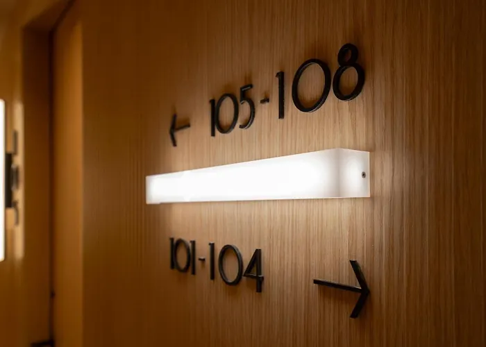 Zenit Borrell Barcelona